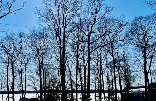 Charming Long Lake Cottage-Hot Tub-Pet Friendly-Near Alpena - Photo 4