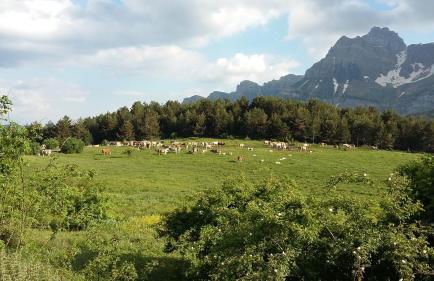 Apartamentos Casa Patro - Foto 56