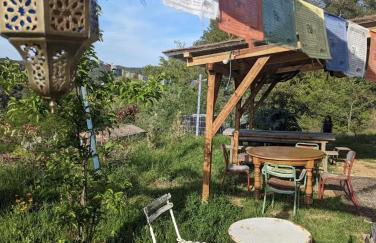 Cabayourte à la mauvaise herbe - Foto 25