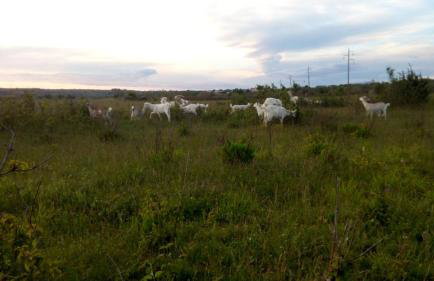 FESTINA IVANa - Foto 21