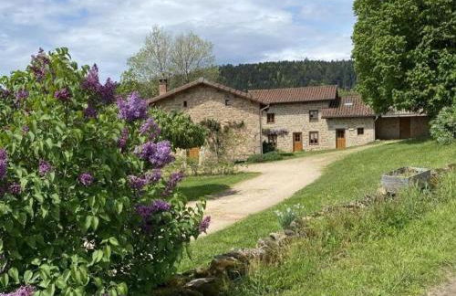 Gîte charmant pour 10, nature et confort avec animaux admis - FR-1-496-60 - Foto 28