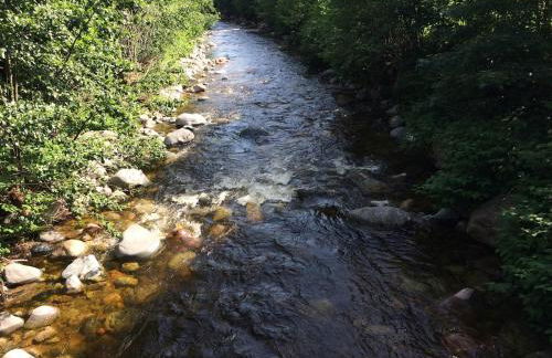 FeWo im Tal der Sonne - Albtal - Foto 23