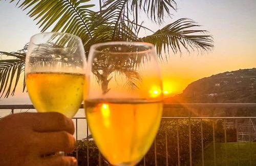 Indigo Star House - Photo 9