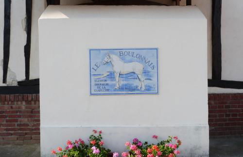 Gîte et Relais Equestre de Marie - Foto 46