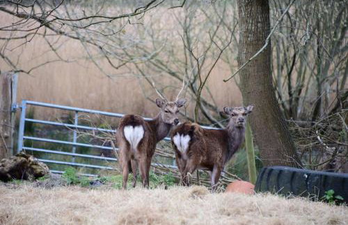 Magnolia Passageway to the Jurassic Coast. - Foto 19