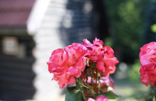 Kuća za odmor MARA - Foto 25