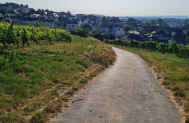 Ferienwohnungen Am Markt - Foto 42