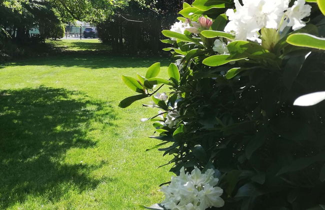 Beautiful Villa for Groups With Swimming Pool, Sauna and Wifi - Foto 38