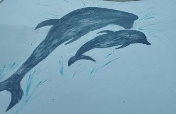 Bienvenus chez moi - Photo 12