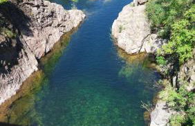 Maison hortensia - Foto 30