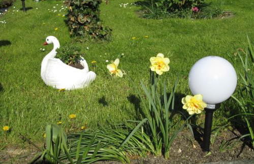 Pfeiffer´s Ferienwohnung - Foto 8