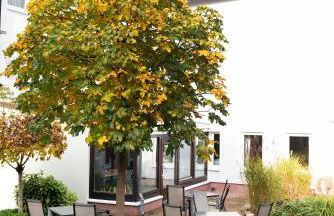 HarzHold - Auszeit in Lerbach - Foto 11