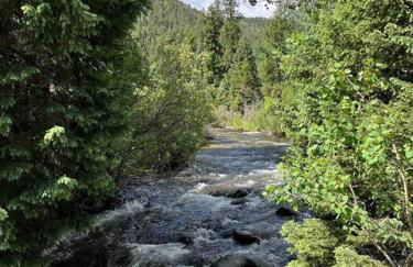 Classic Log Cabin near Rocky Mountain National Park and near Skiing - Foto 20