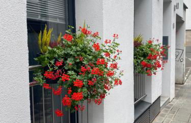 City Nowa 1 - Foto 3