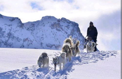 La Cabane - Plagne Village, F2 Ski aux pieds - Foto 26