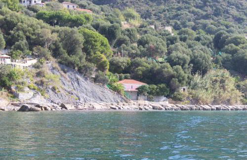 Villa Giuliana - Photo 8