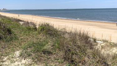 Beach Side Studio #4 apts - Foto 5