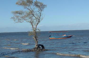 Casa Aratu Guaiú Barra de Mamanguape - Photo 34
