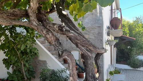 Casa do Alfaiate - Foto 5