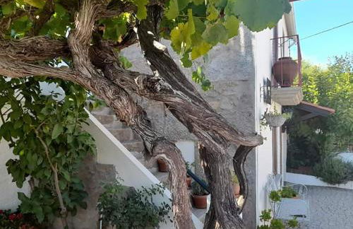 Casa do Alfaiate - Foto 5