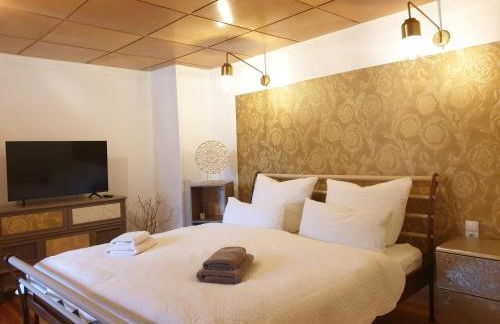 Stillvolle Designwohnung im historischen Zentrum - Foto 2