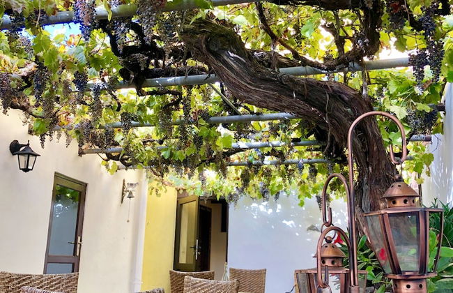 Hotel Rural Vilaflor - Photo 80