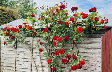 Lake View Lincoln - Foto 22