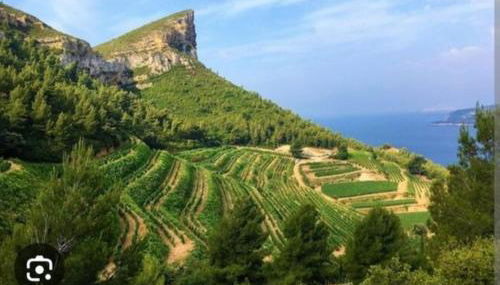 Les 3 petits oiseaux - Foto 4