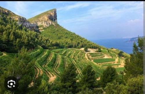 Les 3 petits oiseaux - Foto 4