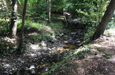 Bella Casa am Rhein - Foto 22