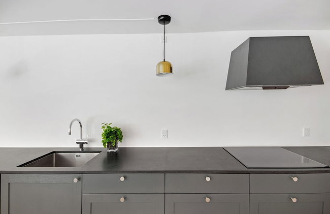 Regent 5 - Large Apt With Terrace Right in Centre of Copenhagen - Foto 17