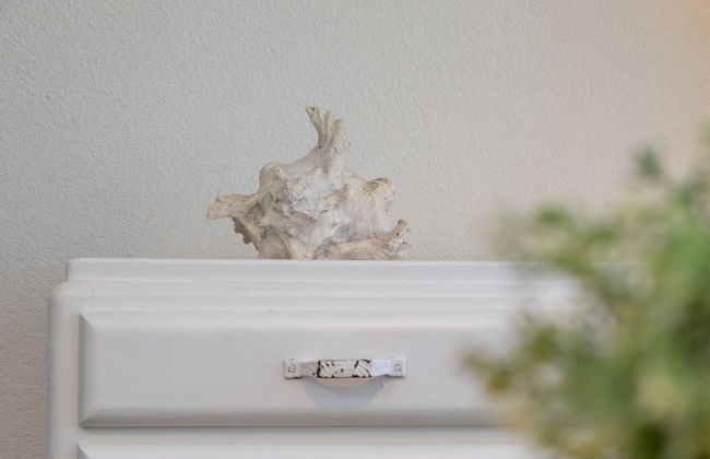 Pet-friendly Escape by the Sea - Photo 9