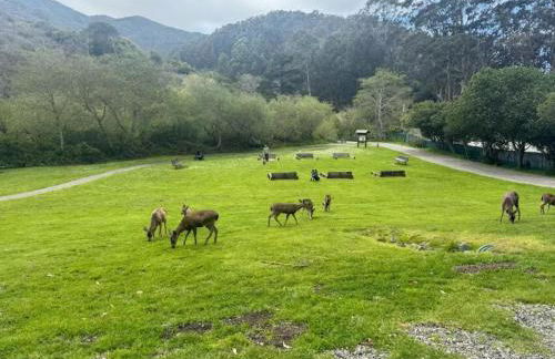 Beachy 1BR Escape with Sofa Bed - Golf & Beach Nearby - Photo 8