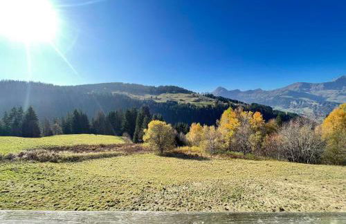 Charmant Mazot Savoyard avec WIFI et Animaux Acceptés - FR-1-505-217 - Foto 14