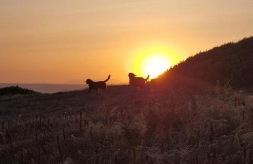BeFree Apartments La Ciaccia - Foto 35