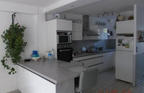 LES TROENES - Photo 15