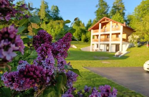 Nonićeva Hiža - Foto 49