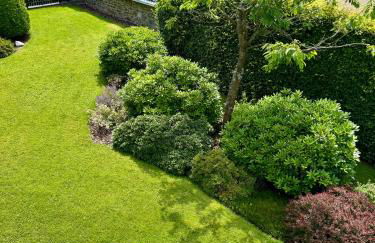 Eifelstube - Cozy 130 qm apartment with big sun terrace - Foto 15