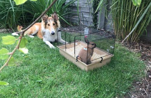 Ranczo Popowice - Foto 20