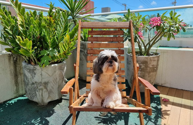 Areias do Mar | 2 Quartos Garden Familia A113 - Foto 7