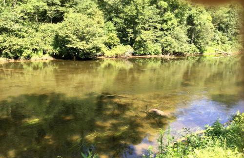 Glamping in North Carolina for Weekend Getaways near Asheville - Foto 16