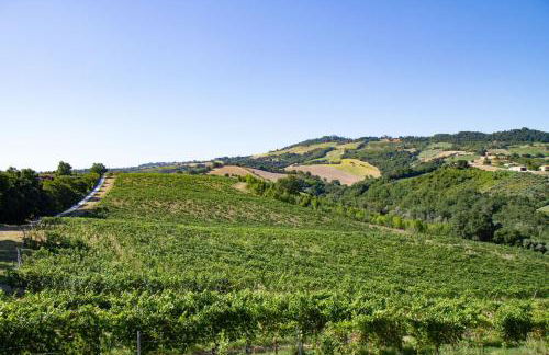 Italian Experience-Villa Zena - Foto 6