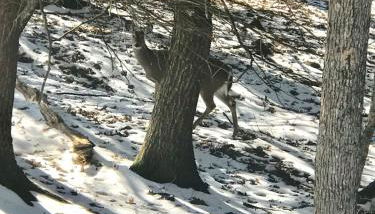 Beautiful Lakefront Chalet in the Poconos! - Foto 4