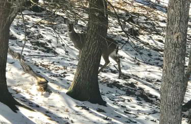 Beautiful Lakefront Chalet in the Poconos! - Foto 4