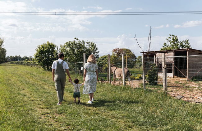 Agriturismo Rechsteiner - Foto 38