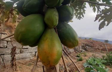 Finca de Luna - Foto 56