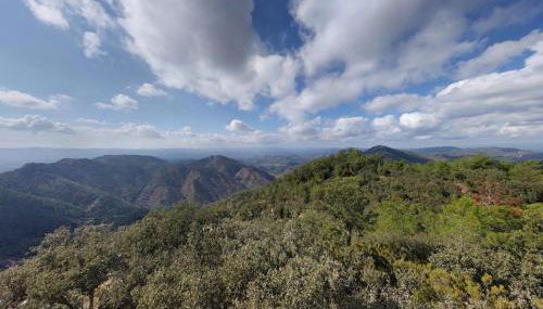 Your stylish retreat in Sierra Espadán - Foto 4