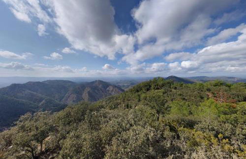 Your stylish retreat in Sierra Espadán - Foto 4