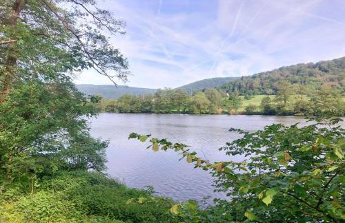 Boardinghouse Wildbachtal - Foto 45