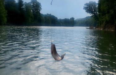 White River Landing - Foto 14